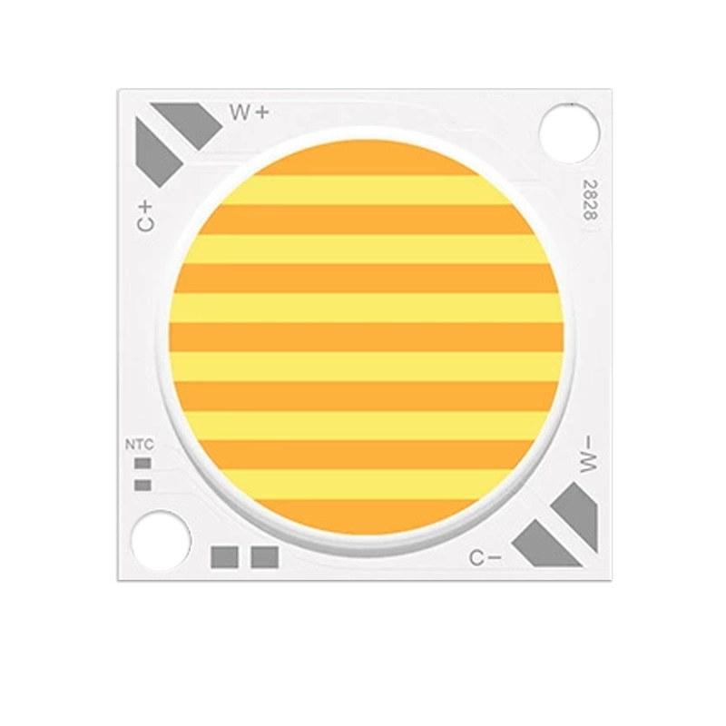 2828 ndoor Lighting COB Series