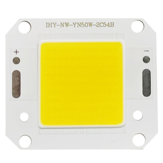 Freshwater Tank Viewing Lighting