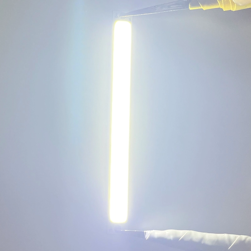 Low Voltage Flexible COB