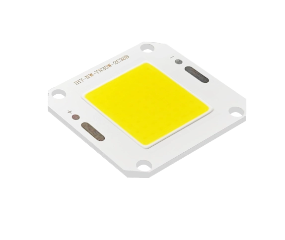 Leafy Vegetable Growth COB